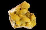 Sunshine Cactus Quartz Crystal Cluster - South Africa #132896-1
